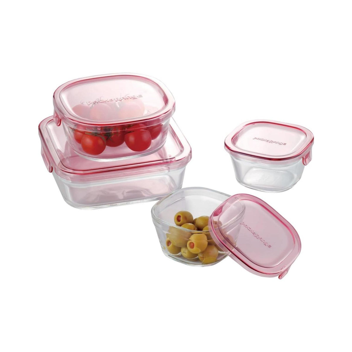 Iwaki Pack and Range Glass Container 4-Piece Set Type A PSC-PRN4P1