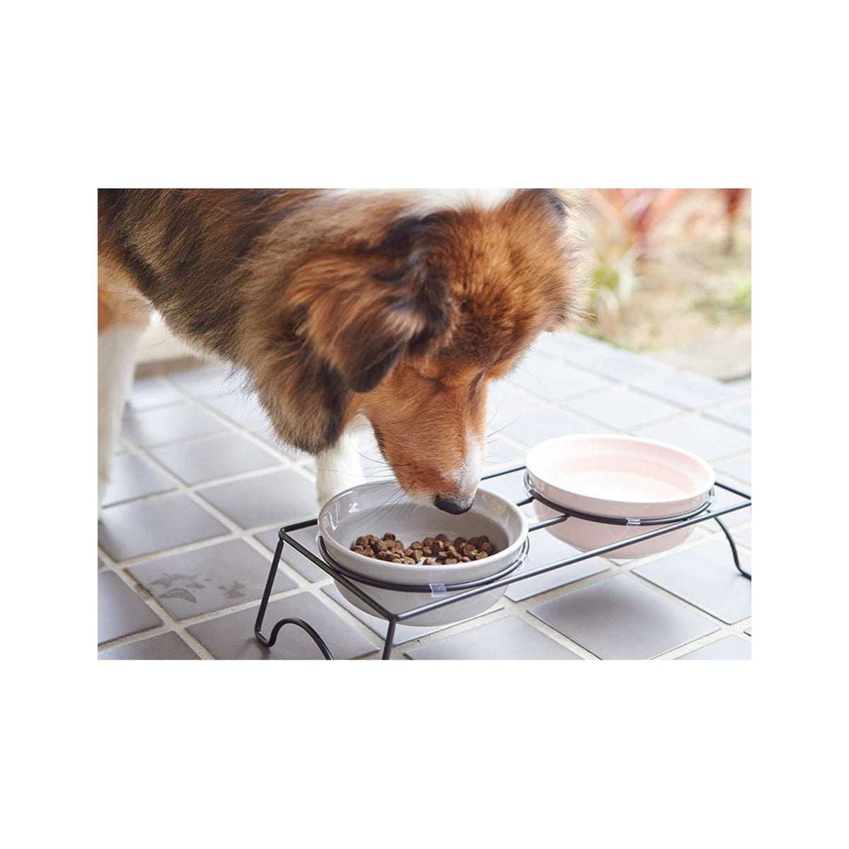 Maruri Tamaki Round Dog Bowl Double Set Large Gray Pink | Pet using bowl set