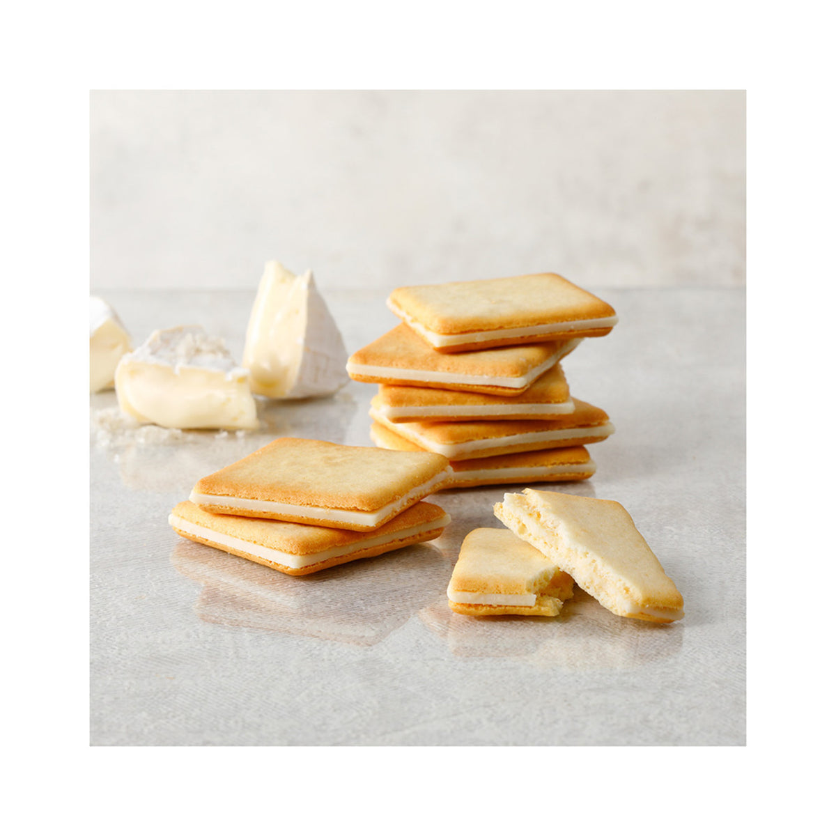 Tokyo Milk Cheese Factory Salt & Camembert Cookies 9 Pieces (Tokyo Souvenir) - img-3